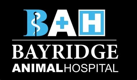 Bayridge Animal Hospital